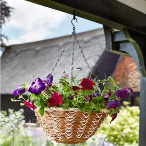 Hanging Baskets – how to make and get the best from them