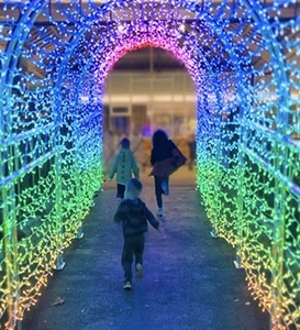 Christmas Light Walk