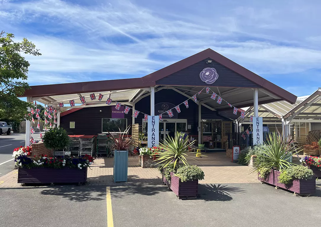 Henry Street Garden Centre Henry Street Garden Centre