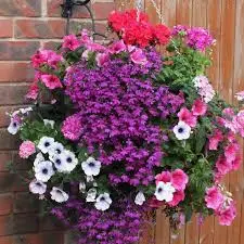 Make your own Hanging Basket