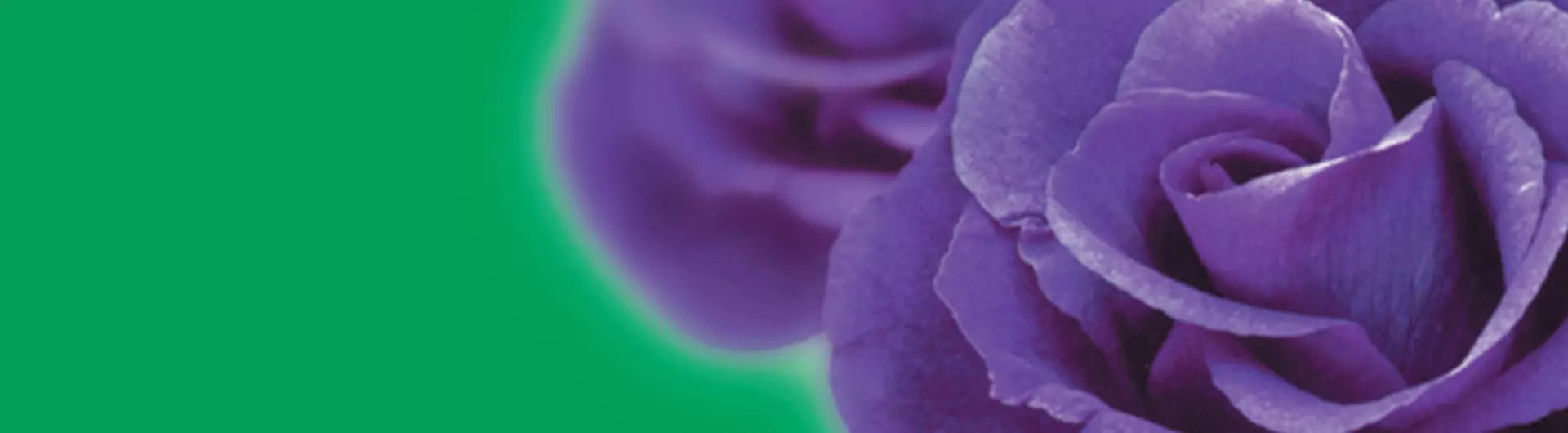 Reap Your Rewards with Henry Street GC