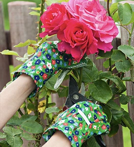 Roses Pruning Demonstrations