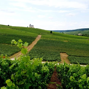The Great Champagne Tour! (4 days, 3 Nights)- Pennywood Tours