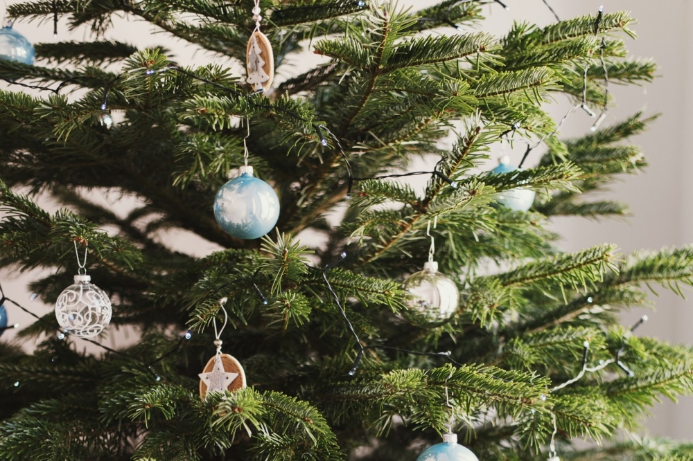 How to keep your Christmas tree fresh for longer Henry Street Garden