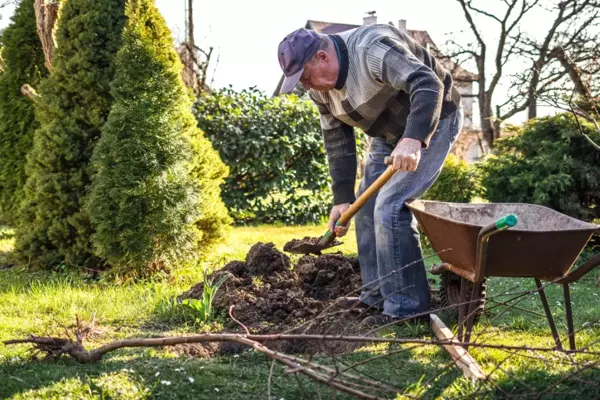 Top 5 gardening tips for beginners