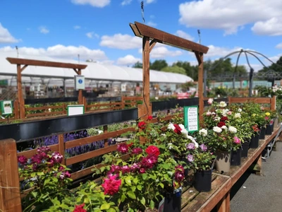 Garden Centre