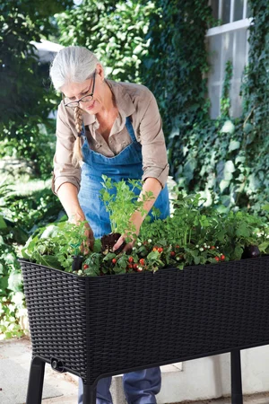 120L Easy Growing Anthracite - image 2