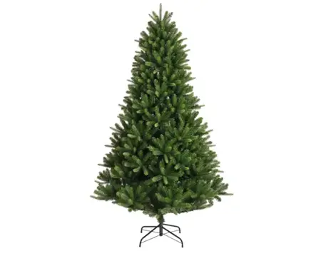 210cm Bromont fir - image 1