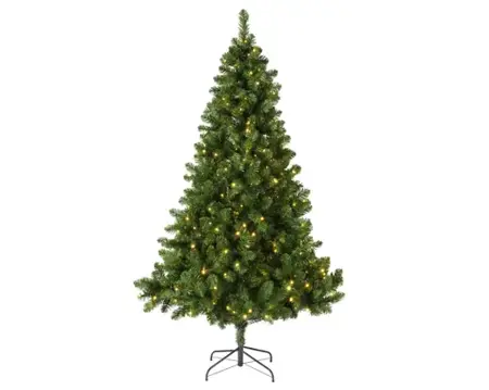 210cm Imperial pine LED indoor - image 2