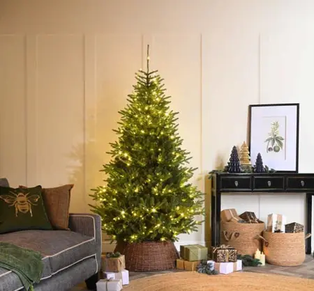 210cm prelit white mountain pine tree