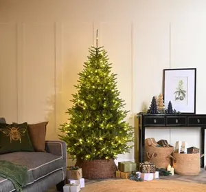210cm prelit white mountain pine tree