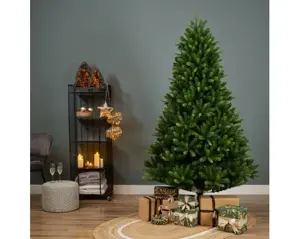 240cm Bromont fir - image 2