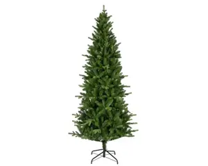 240cm Killington fir