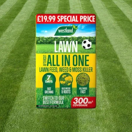 Aftercut AIO LFWMK 300m2