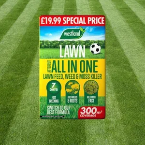 Aftercut AIO LFWMK 300m2