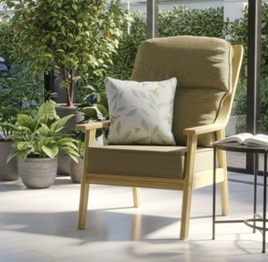 Benham Lounging Chair & Cushion