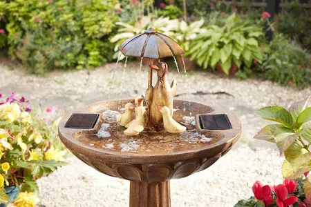 Duck Family Fountain