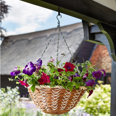 Hanging Basket Demo - Weds 13th - image 1