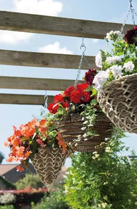 Hanging Basket Demo - Weds 13th - image 3