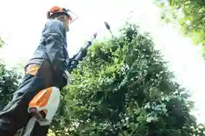 HLA 66 Long-Reach Hedge Trimmer SHELL - image 2