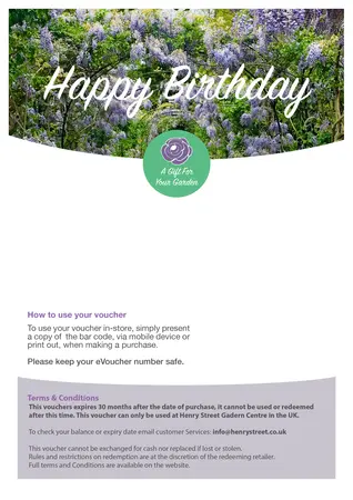 HS E-Gift Voucher - Happy Birthday