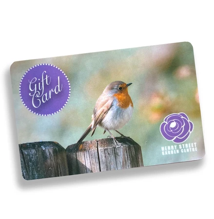 HS Gift Voucher - Robin £50