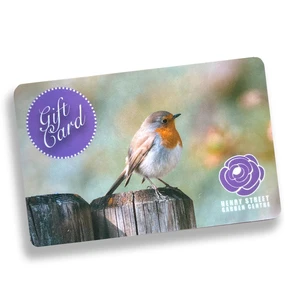 HS Gift Voucher - Robin £10