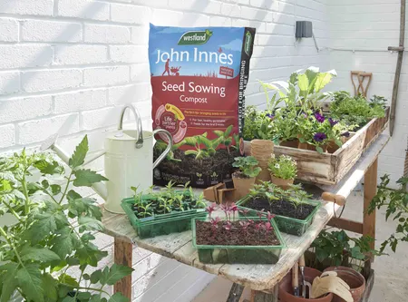 John Innes PF Seed 28ltr - image 2