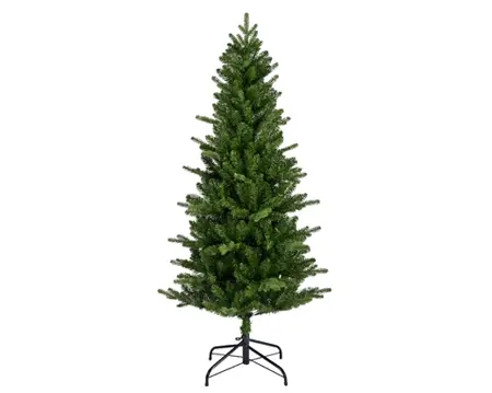 180cm Killington fir - image 1