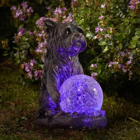 MysticDog