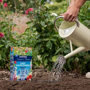 Nature's Haven Easy Wildflowers Mix 1.2kg - image 2