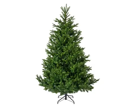 180cm Nordmann fir - image 1
