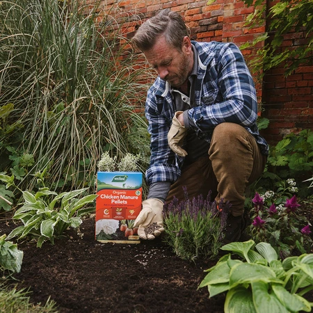 Organic Chicken Manure Pellets 2.25kg + 25% Extra Free - image 2