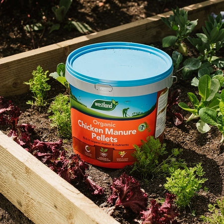 Organic Chicken Manure Pellets 8kg Tub - image 2
