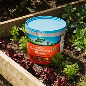 Organic Chicken Manure Pellets 8kg Tub - image 2