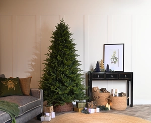 Starlight Lake Tree