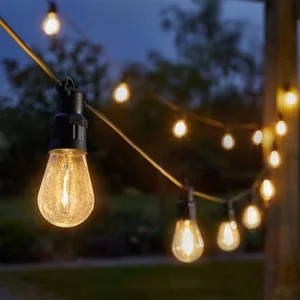 Vintage Festoon Lights - Warm White - Set of 10